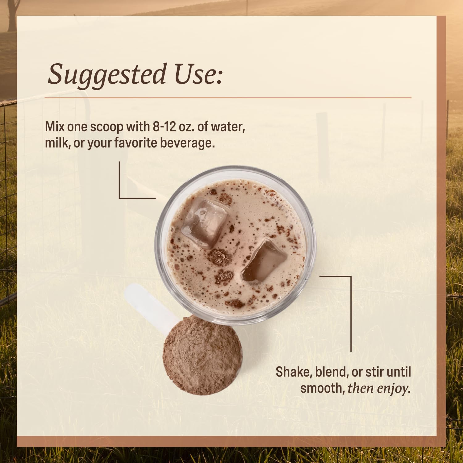 Men’s Whey Protein Powder, Chocolate, Grass Fed A2 Regenerative Whey with KSM-66 Ashwagandha® & Acti Veda™ (22g Protein)