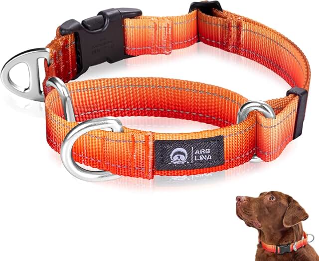 Arblina Martingale Hundehalsband, Reflektierendes Zugstopp Halsband Hunde für Große Mittlere und Kleine Hunde, Nylon Zughalsband mit Stopp für Hunde Whippets, Greyhounds, Saluki, Orange,S product image