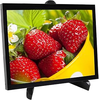 VSDISPLAY 9.7 inch Portable HD-MI LCD Monitor 2048x1536 2K IPS Display with HD-MI Mini HD-MI Video Input,Built in Dual Speaker,Support 180° Image Rotatio