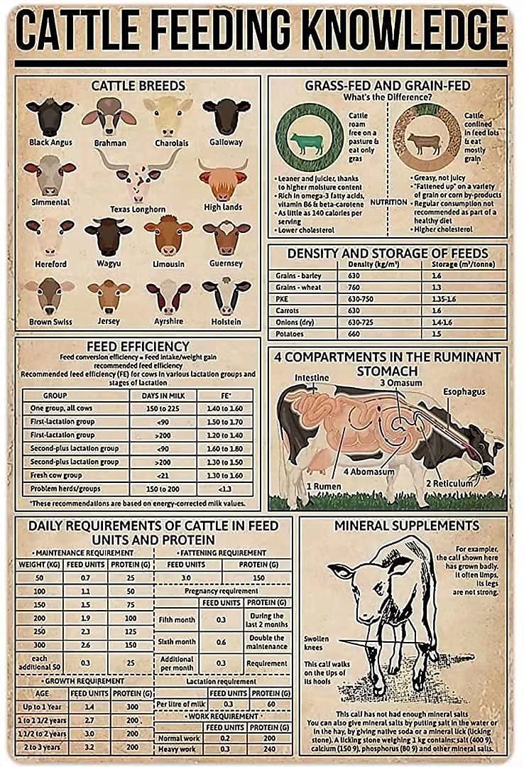 Tin Sign Cattle Feeding Knowledge Metal Tin Sign,Fun Home Metal Poster Sign For Bar Kitchen Cafe Farmhouse Wall Decor 12X16 Inches