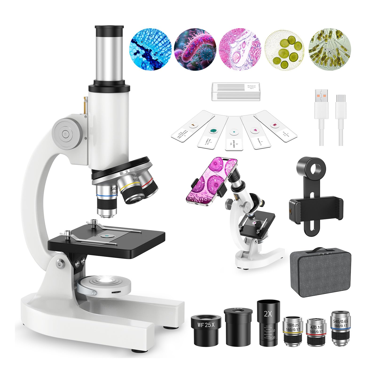 40X-2000X Microscope for Kids Adults Beginner: Compound Monocular Microscope for Home School - Science Discovery Biology Experiments with Slides, Phone Holder, Metal Frame Edu Gift For Kids 8-12