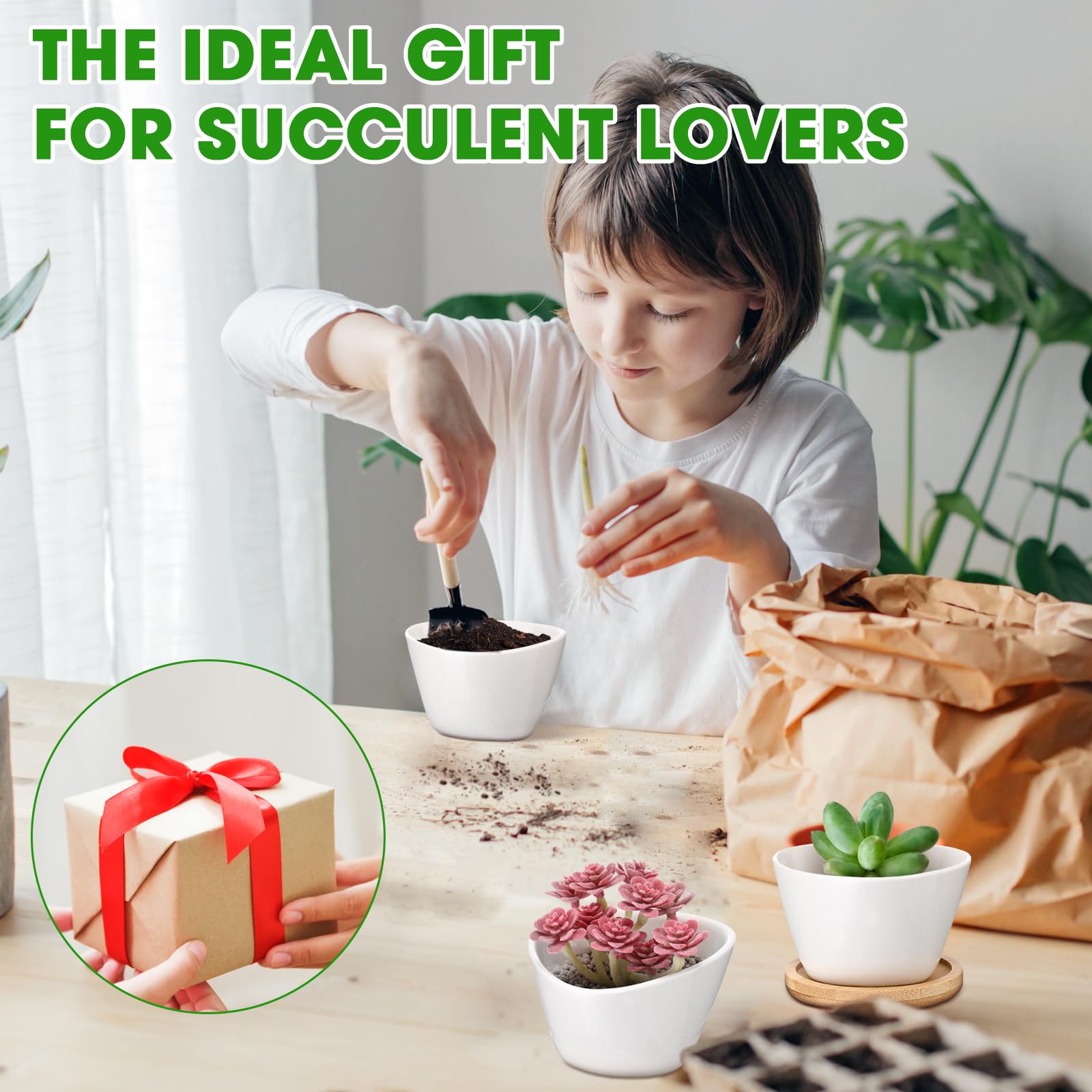 Amazon.com: Domensi 24 Pack Succulent Planter Pots 3 Inch Small