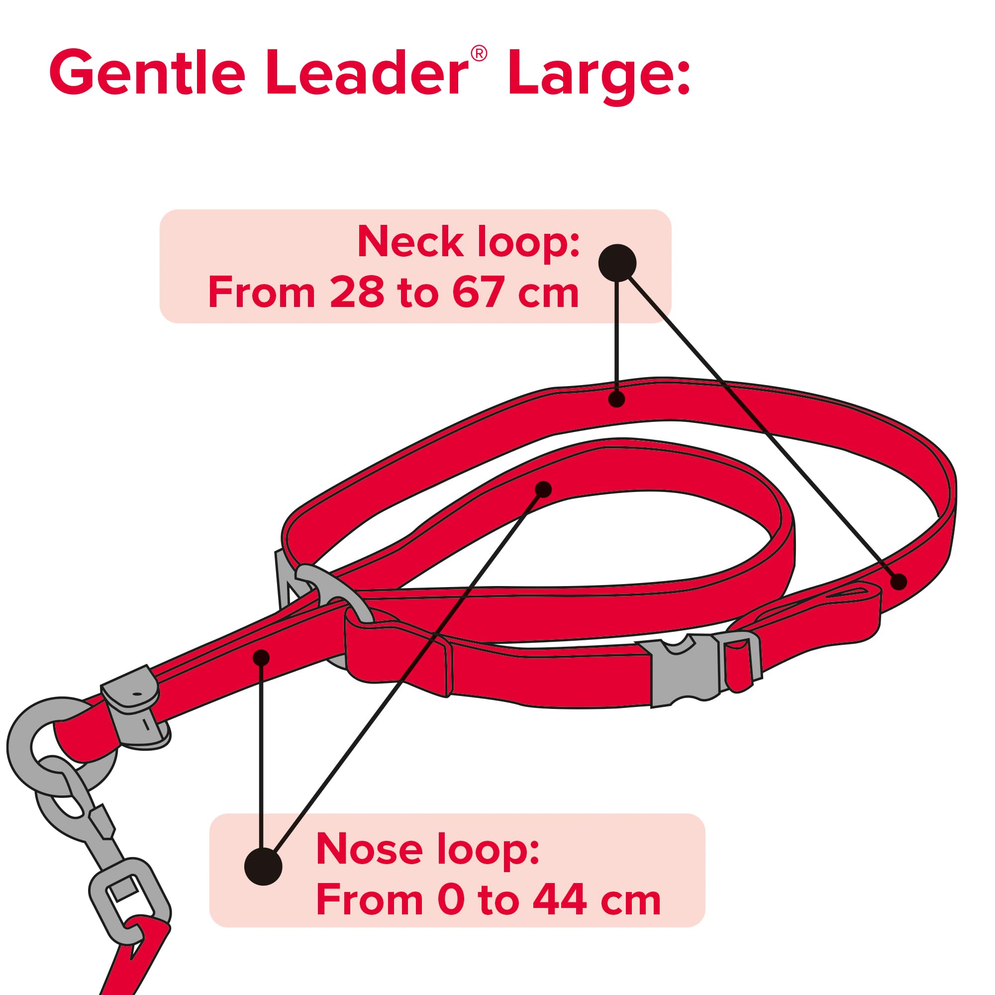 Beaphar Gentle Leader - Collier pour Chien - Taille L - Rouge - Robuste et Durable - Facile à Installer - Pour Toutes les Tailles de Race - Imprimé Animal