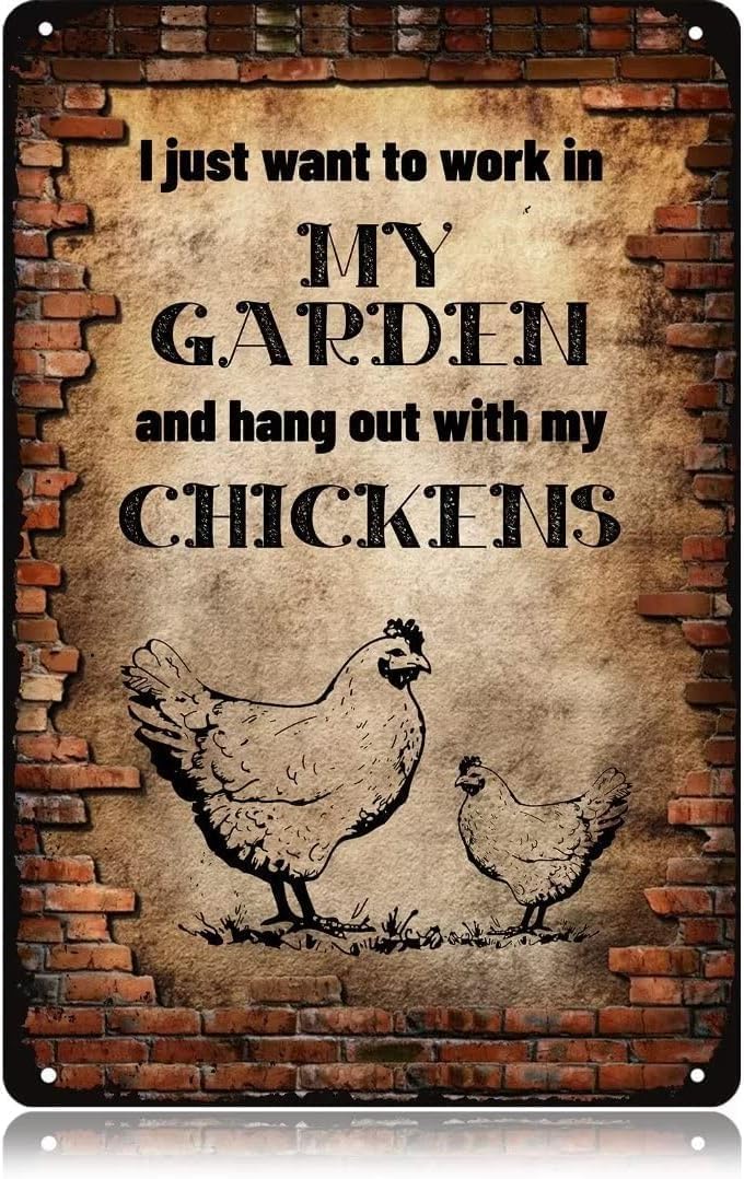 Kwqdozf Tin Sign-6 12X16inch I Just Want To Work In My Garden And Hangwith My Chicken Aluminum