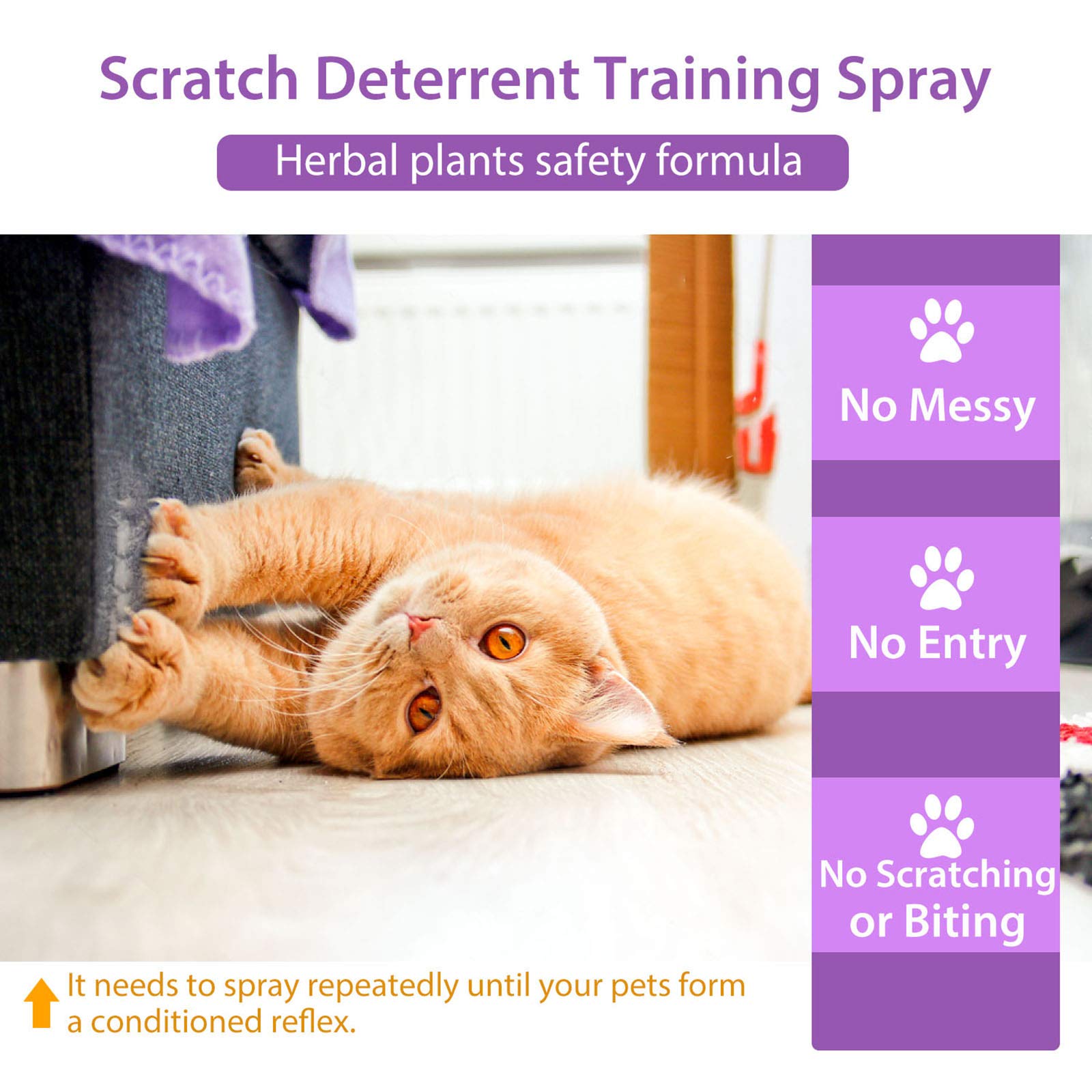 Katzenabwehrspray, Natürlich Effektiv Hundeabwehrspray, Kratzschutz Katze Hund Katzenschreck Anti Katzen Spray für Innen und AuBen