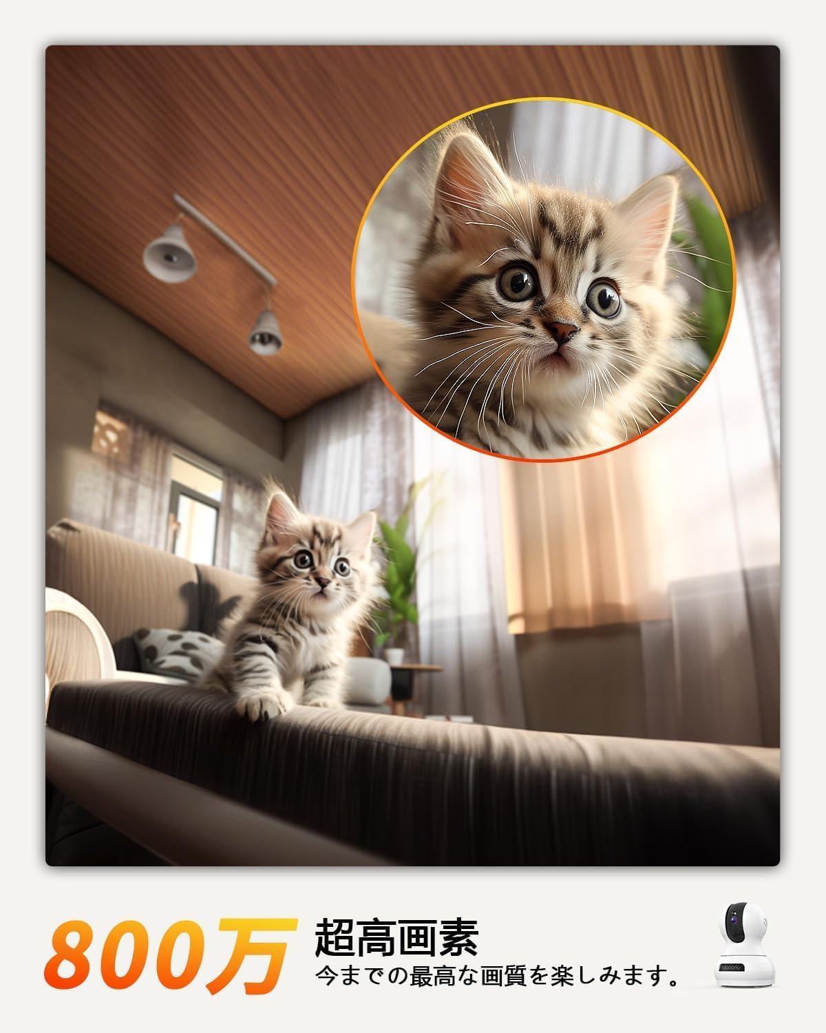 A kitten on a couch, with text indicating 8 million pixels and super high resolution.