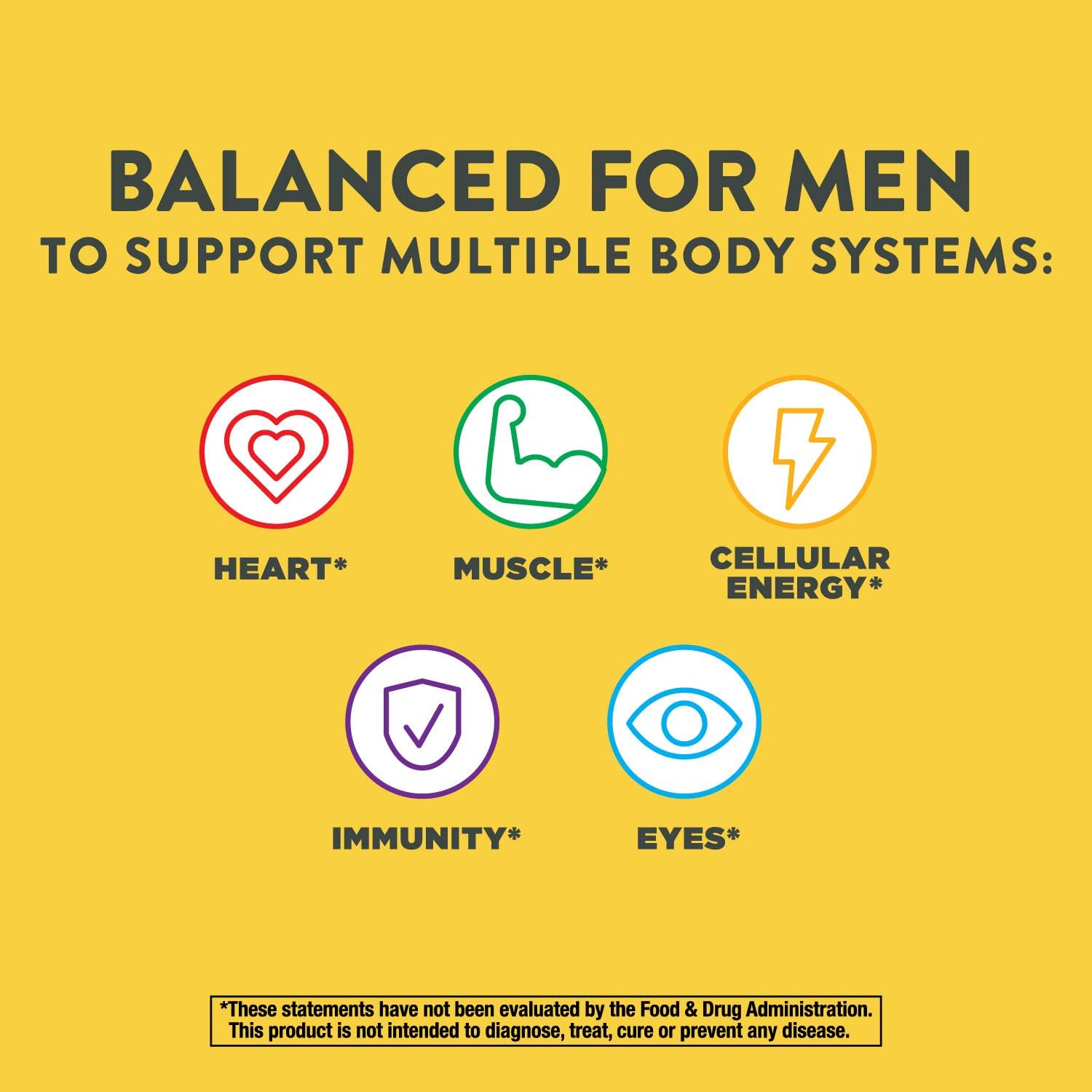 Nature’s Way Alive! Men’s Energy Complete Multivitamin, High Potency B-Vitamins