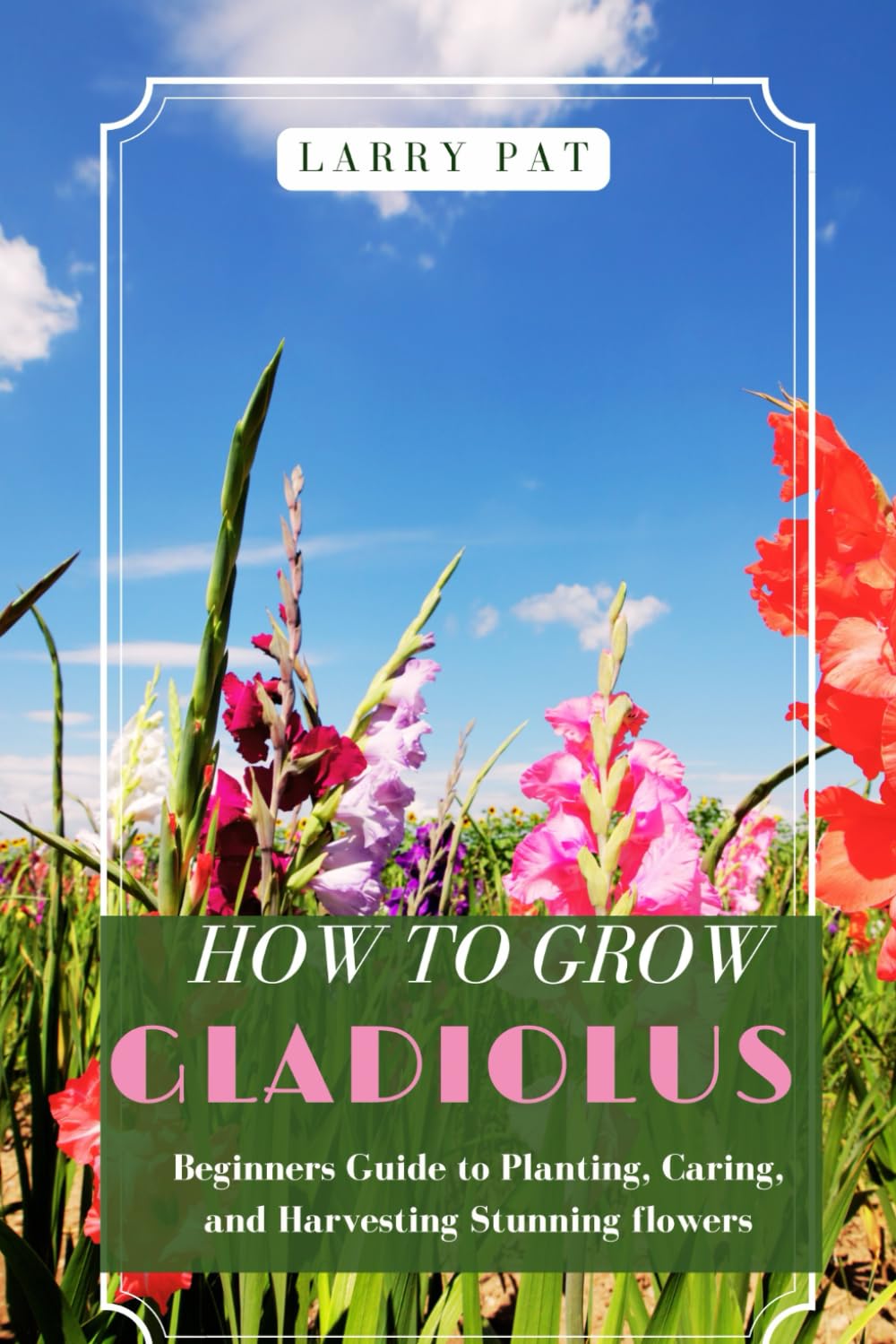 HOW TO GROW GLADIOLUS: Beginners guide to planting, caring and harvesting stunning flowers