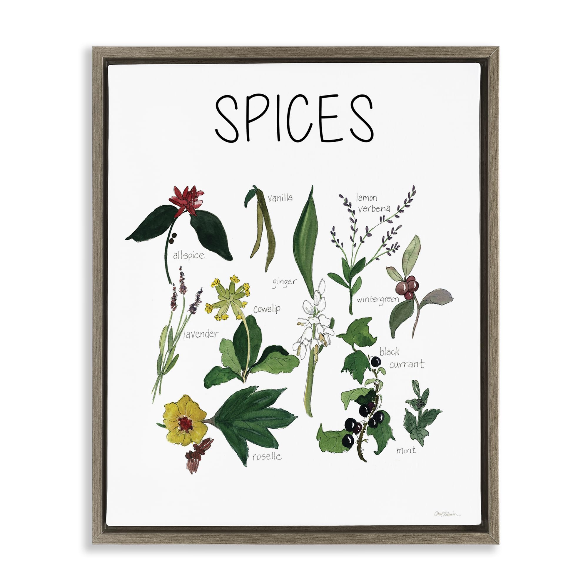 Stupell Industries 'Spices Identification Chart', Floating Frame Canvas Art, Brown, 17 x 21 Inches, Easy to Hang and Sturdy, Made in USA, by Carol Robinson