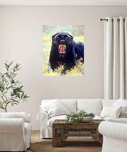 Miniatura 2 de Póster artístico para decoración de pared, diseño de animales salvajes, pantera negra (leopardo) (16 x 20 pulgadas)