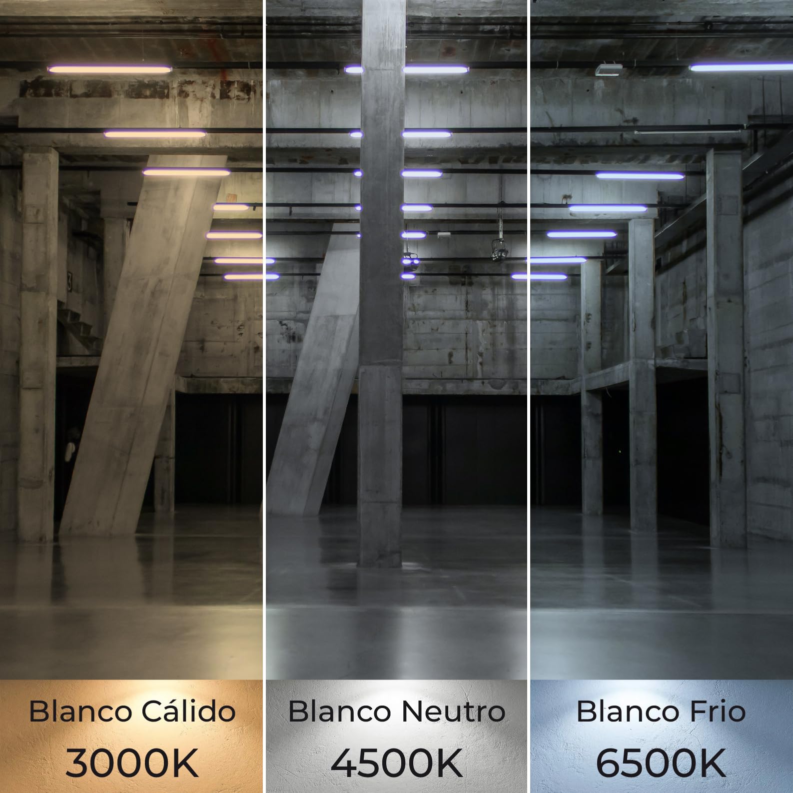 LED ATOMANT Pack 48x Tubo LED 120cm 18W, CCT (Selector de Color Blanco Calido, Neutro y Frio), 2200 Lumenes, Cebador LED incluido, T8 Standard