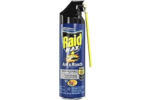 Raid Max Ant & Roach Aerosol Spray 14.50 oz (Pack of 6)