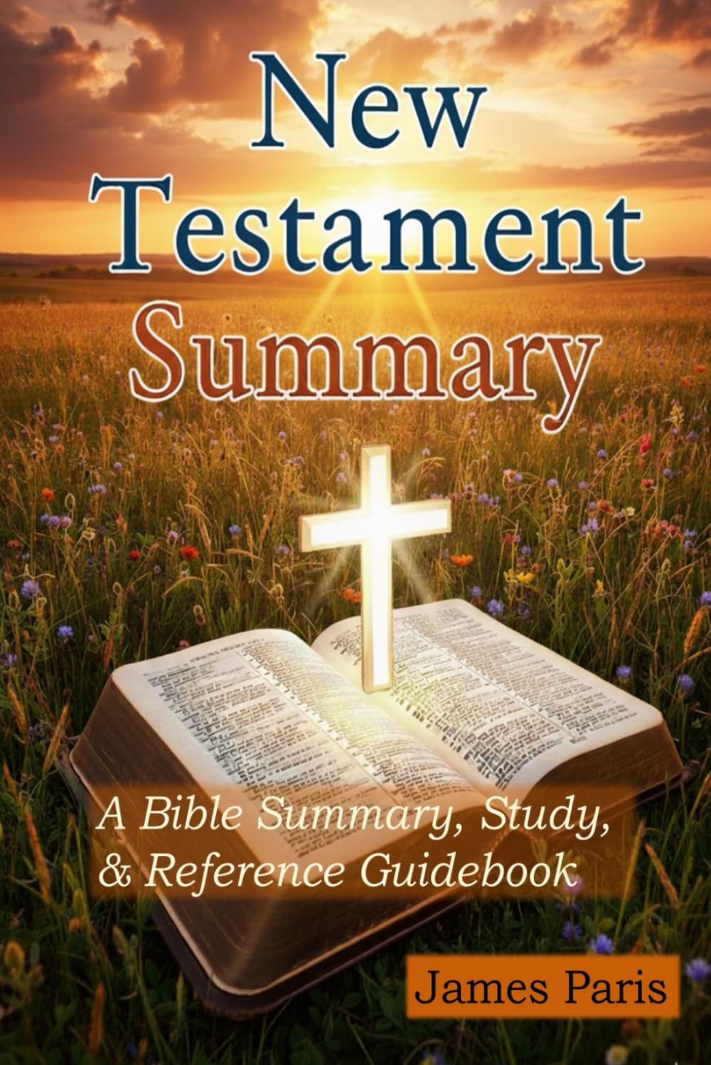 In Brief - A Summary Of The New Testament Bible: A Bible Summary, Study, & Reference Guidebook