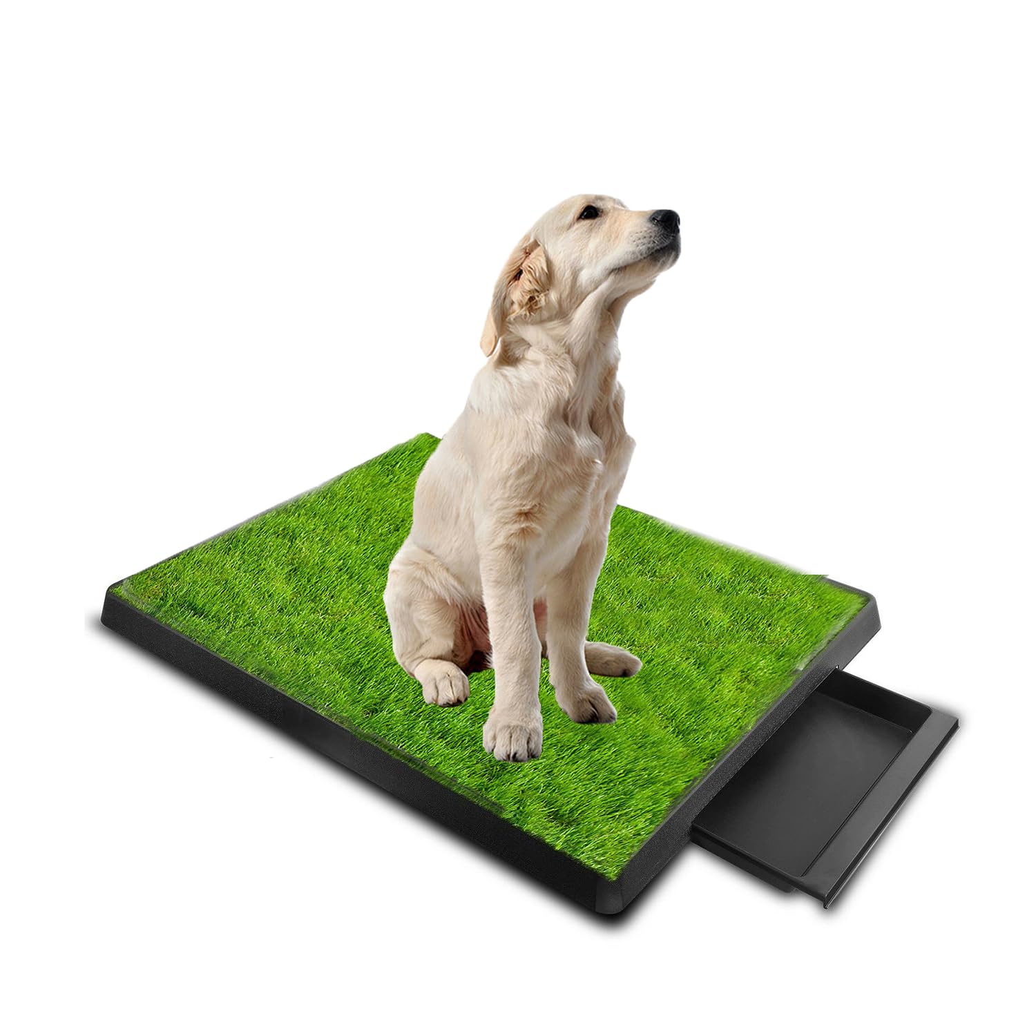 NEWFUN 63*51 cm Inodoro para Perros de Césped Artificial con Bandeja de Desechos Removible,Inodoro para Mascotas Perro Césped Interior Orinal Perro Almohadilla de Entrenamiento de Hierba para Animal