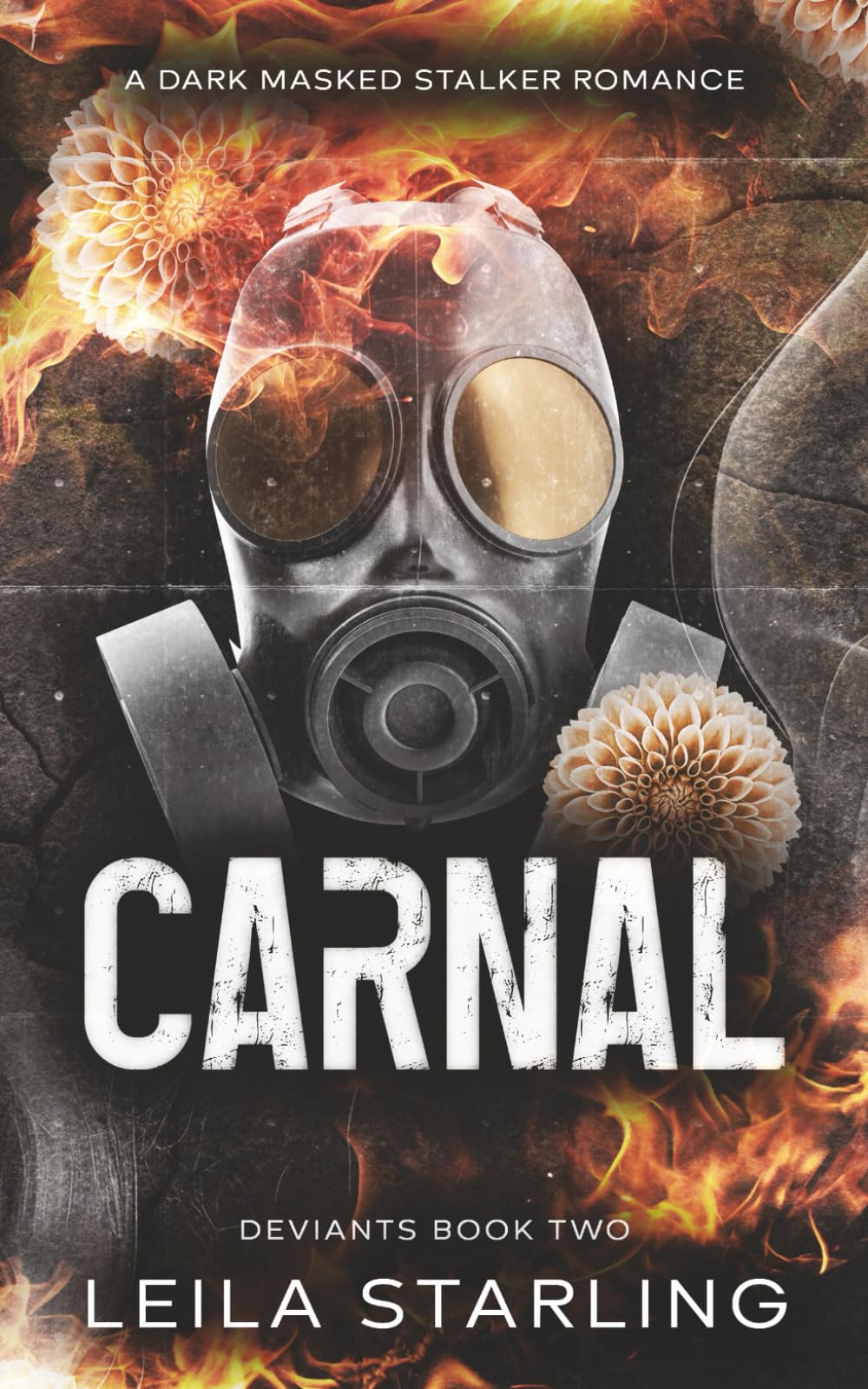 Carnal: A Dark Masked Stalker Romance (Deviants 2)