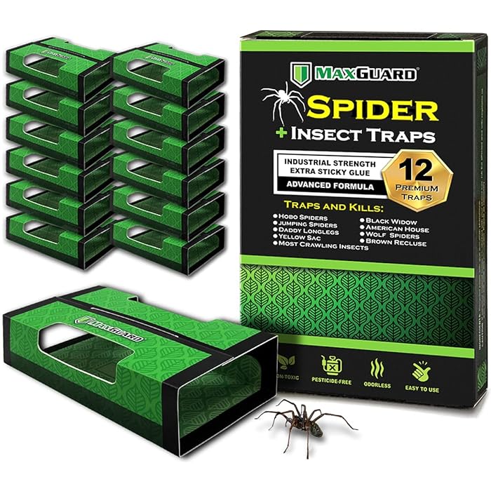 Buy MaxGuard Spider + Insect Traps (12 Box Traps) NonToxic Extra