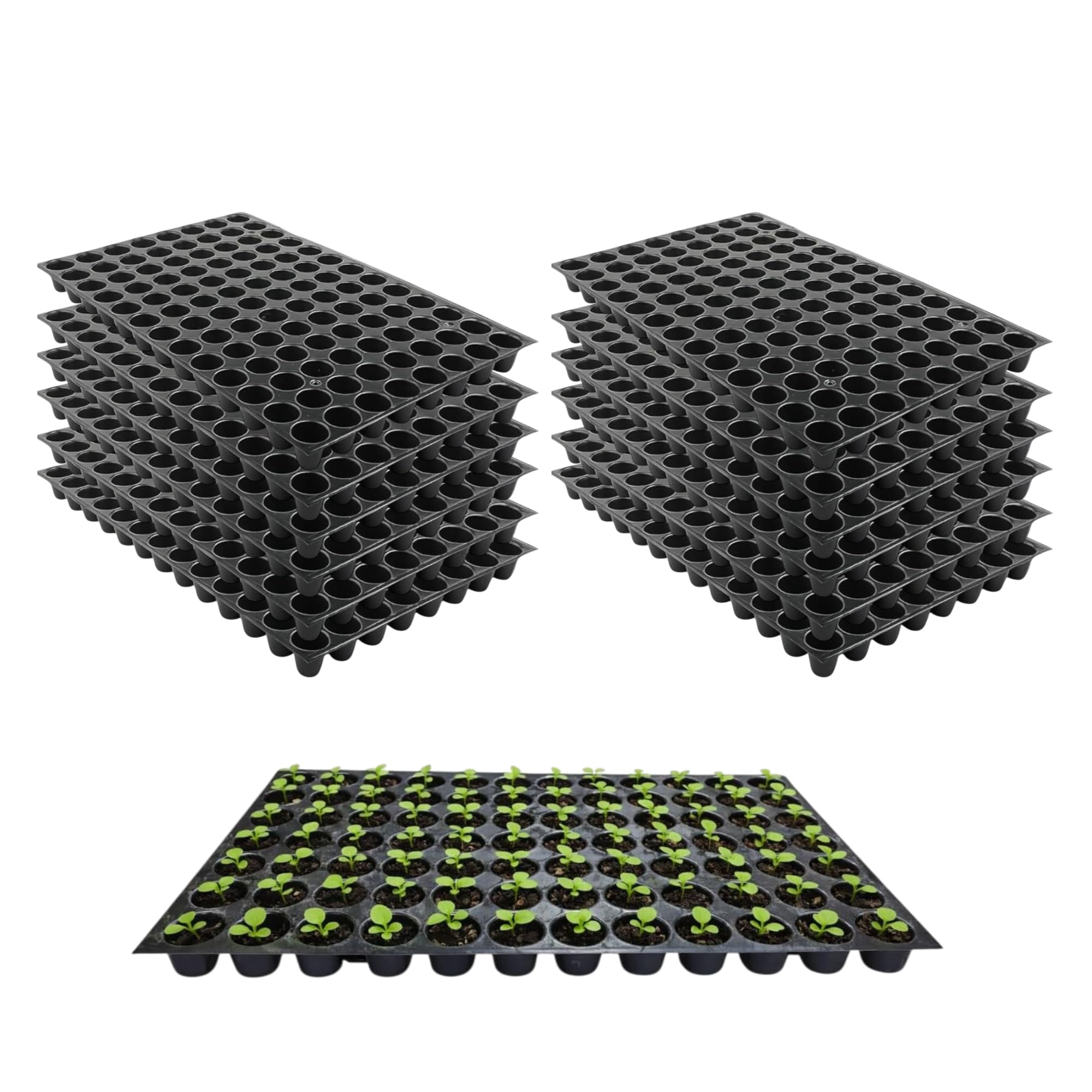 104 Cells Seedling Tray for Plants (Pack of 12) | Reusable Plastic Seed Germination with Drainage Holes | Seed Starter for Vegetable, Flower & Plant Nursery | Garden Propagation Tray-image-49