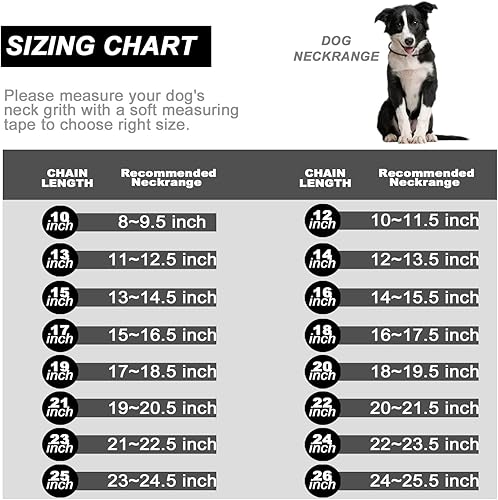 Miniatura 6 de Collar de cadena para perro con código QR, etiquetas de perro personalizadas para mascotas, etiquetas QR personalizadas escaneables para