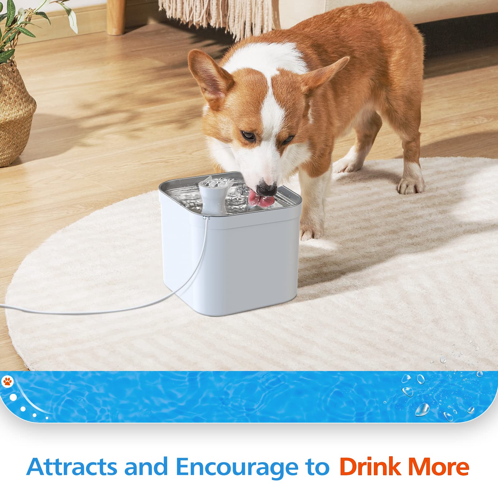 MEGADOO Cat Water Fountain, Automatic Pet Water Fountain, 75oz/2.2L Ultra Quiet Cat Water Dispenser with Water Level Window for Cats, Dogs, Multiple Pets