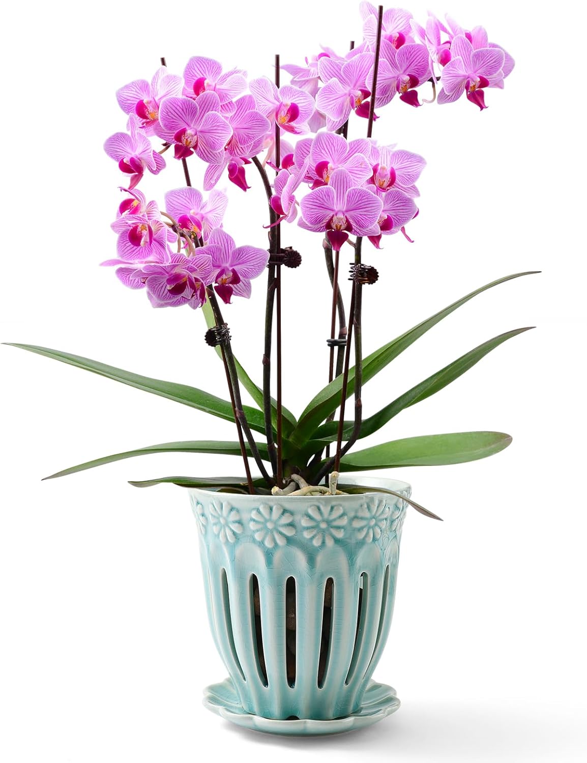 SUADEN 5" Ceramic Orchid Pot with Holes | Crackle Glazed Pot with Drainage and Separate Saucer | Ideal Plant Pot for Repotting Orchids and Other Flowers (Blue)