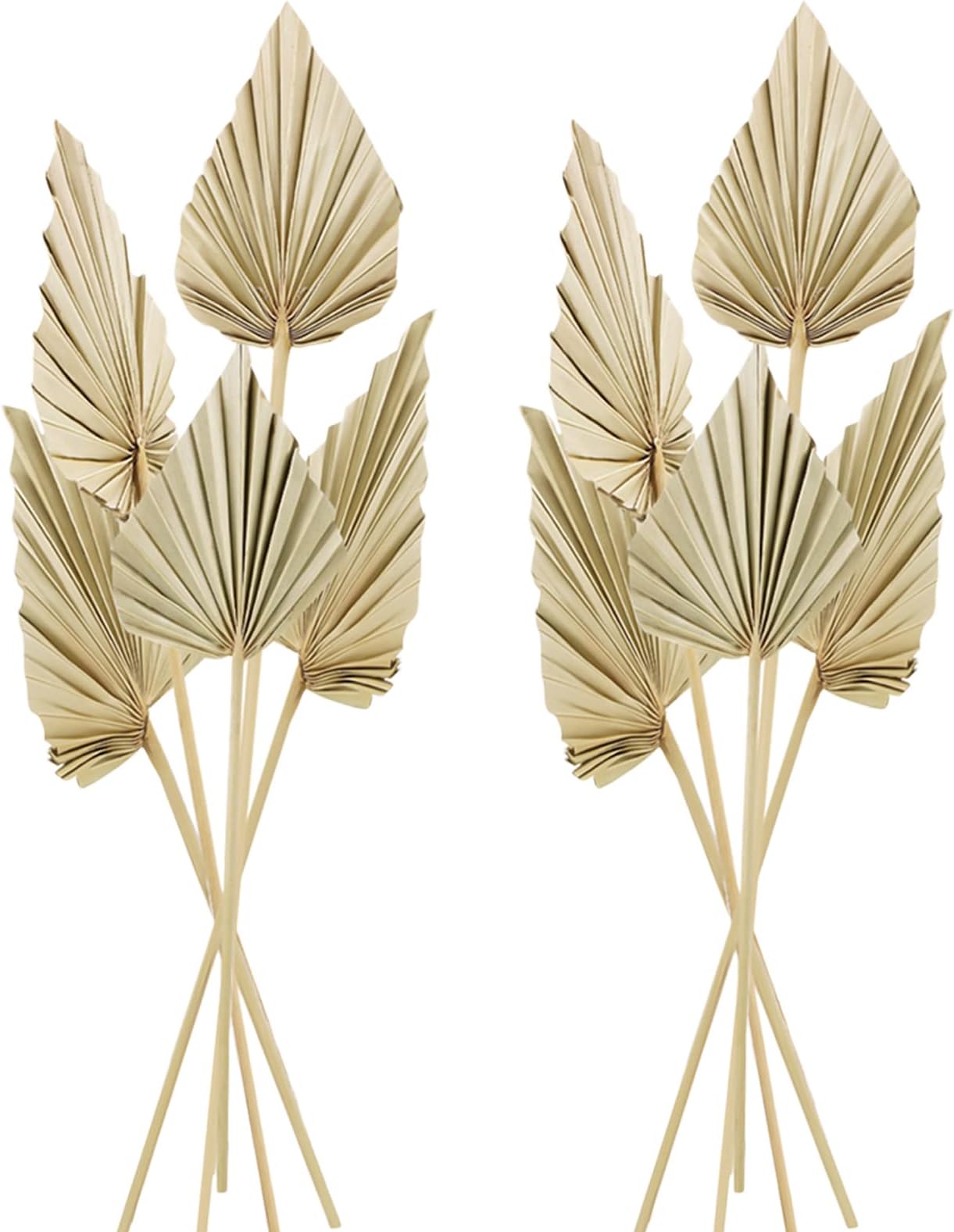 Cenkaiyang 10 Pcs Boho Dried Palm Spears Leaves, Real Palm Fans with Stem, Boho Home Decor for Vase, Wedding, Office, Home (10 Pieces)