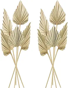 Cenkaiyang 10 Pcs Boho Dried Palm Spears Leaves, Real Palm Fans with Stem, Boho Home Decor for Vase, Wedding, Office, Home (10 Pieces)