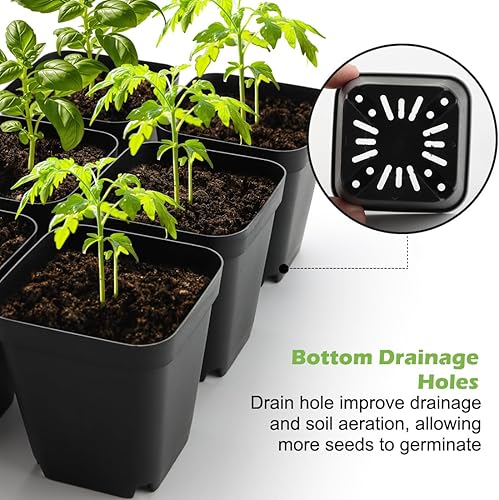 Miniatura 17 de Macetas cuadradas de 3.15 pulgadas (3.1 in), 100 piezas, bandejas resistentes para plántulas, 5 unidades, bandeja de germinación de iniciación