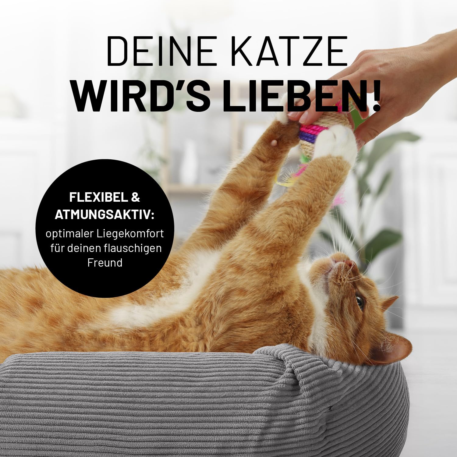 Lumaland Komfort Katzenbett Cord, Ø 60 cm | Katzenhöhle Rutschfester Boden | Katzen Zubehör mit Softer Füllung & Cord-Bezug – alle Teile waschbar | Katzenkorb mit Reißverschluss und 15 cm hohem Rand