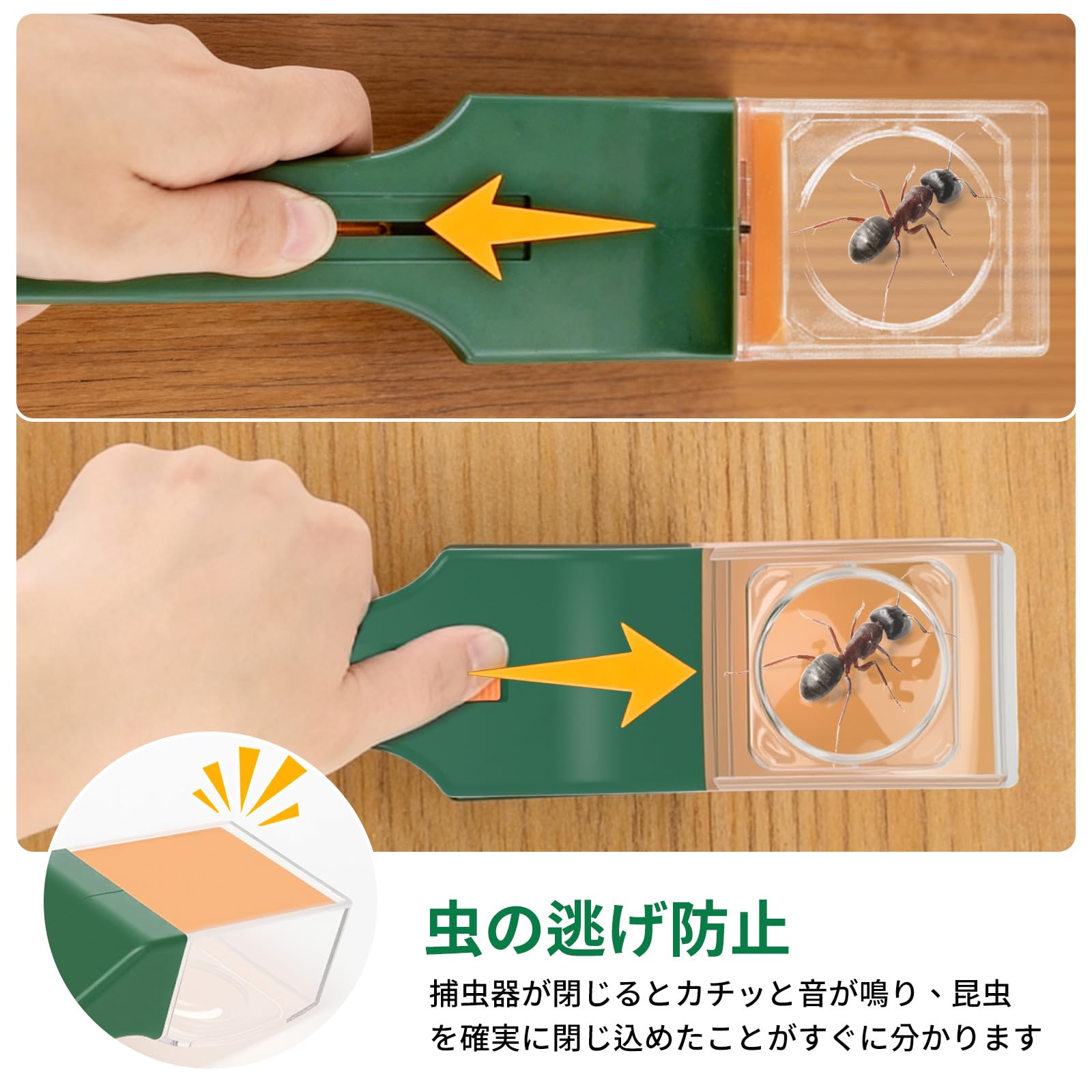 rloao 虫キャッチャー ロング バグキャッチャー 拡大鏡で虫の観察 片手操作 触れない 触らず逃がす 虫取り 捕虫器 害虫 昆虫 退治 部屋 屋内 対策 ベランダの虫 車内の虫 家の虫 昆虫採集
