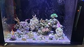 Review Image by Ian Thiry Ian Thiry