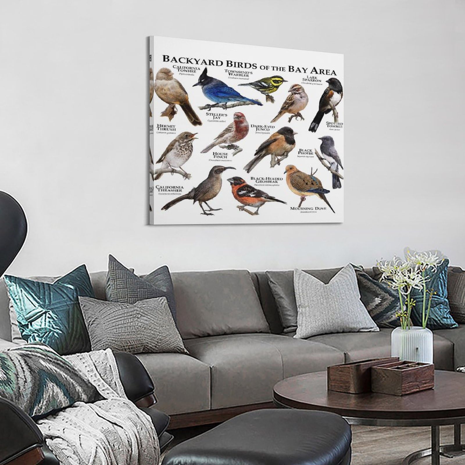 HNPBB Tier-Poster, Hinterhof-Vogelführer-Poster, dekorative Malerei, Leinwand, Wandposter und Kunstbild, Druck, moderne Familienschlafzimmer-Dekoration, Poster, 60 x 60 cm