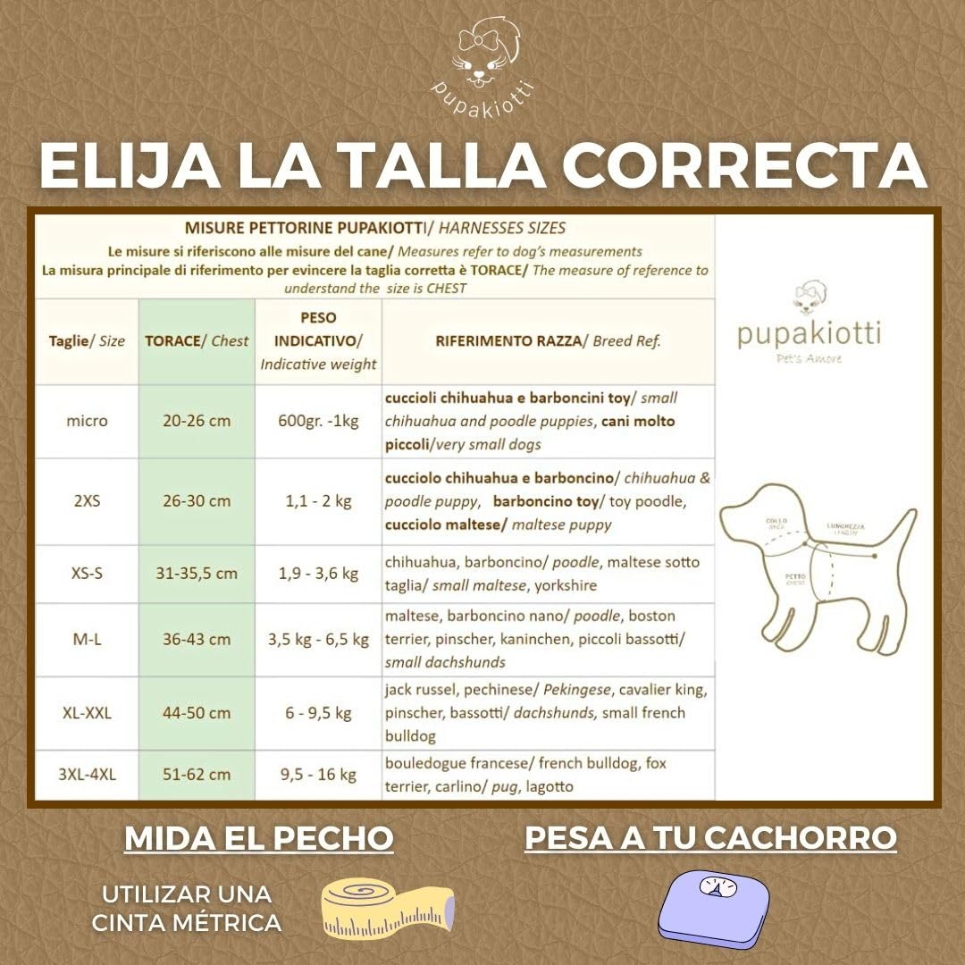 PUPAKIOTTI Arnes Perro de Tamaño Pequeño y Mediano, Arnés de Cuero, Arnes para Perros Ergonómico y Ajustable, Hecho a Mano en Italia (M-L, Cuero)