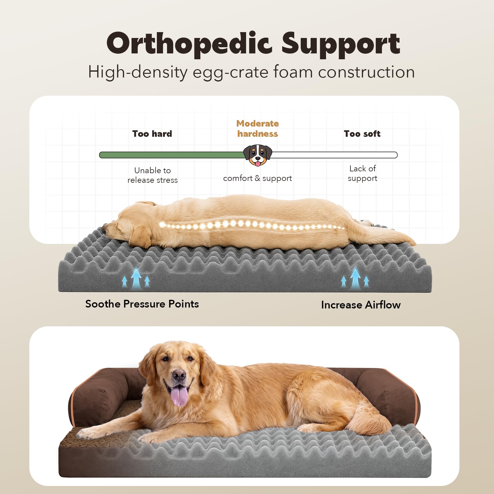 Amazon.co.jp: 犬用ベッド Mサイズ 犬用整形外科用防水ベッド、洗える