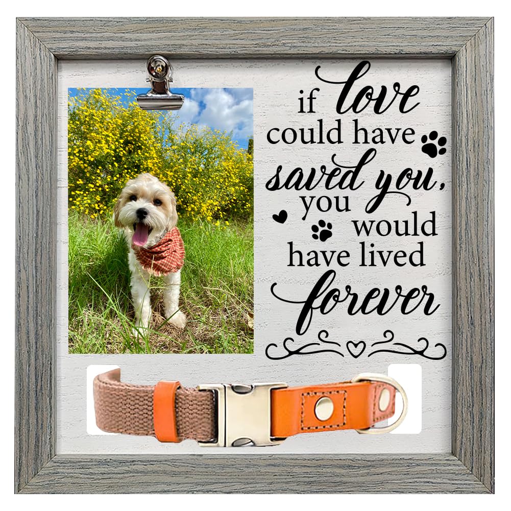 FINGERINSPIRE Dog Memorial Picture Frame 9x9 inch If Love Could Have Saved You You Would Have Lived Forever Cat Pet Picture Frames with Photo Clip &