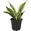 Product Photo 8