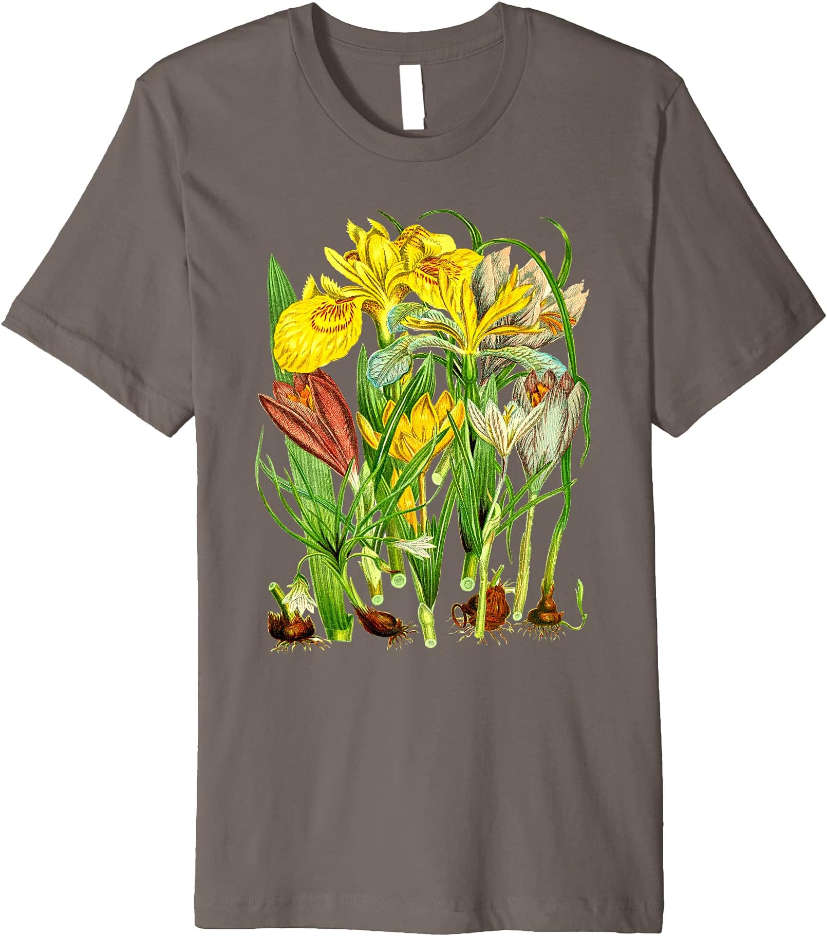 EncycloArt, Botanical Spring Flowers, T-Shirt