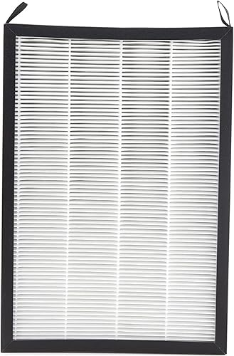 Nuwave OxyPure - Paquete de 1 filtro de repuesto original HEPA/carbono, elimina irritantes, contaminantes y olores, producido y vendido por el