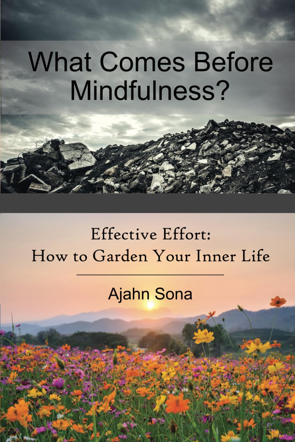 What Comes Before Mindfulness?: Right Effort and the Buddhist Path to Enlightenment