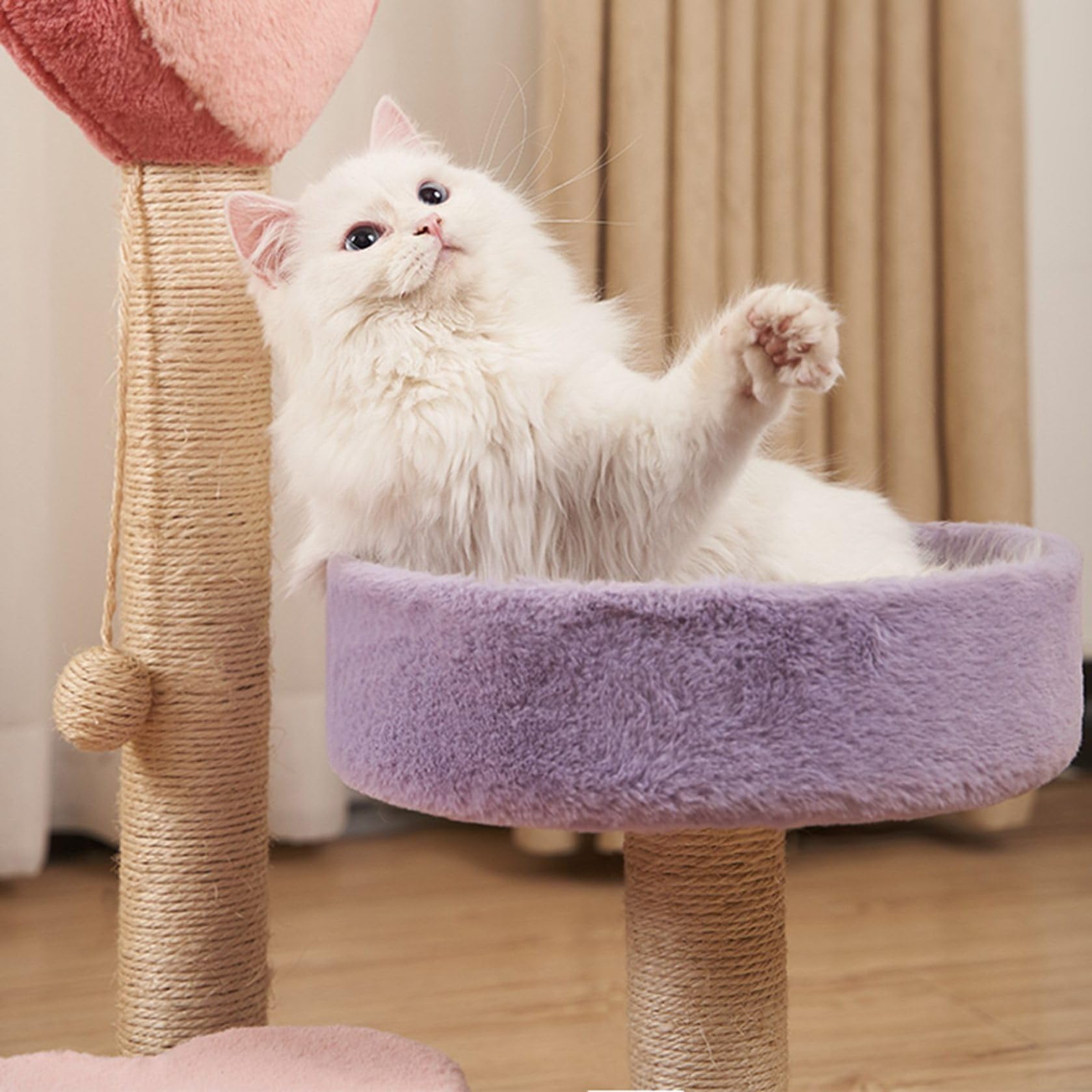 Amazon.co.jp: キャットタワー つめとぎ 心型 かわいい ベッド ミニ 猫