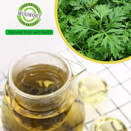 Miniatura 4 de Jarteela - Hierbas de artemisa secas prémium - 4 oz114 g - Hierbas naturales hojas sueltas para té de artemisa - Sin OMG - Sin cafeína