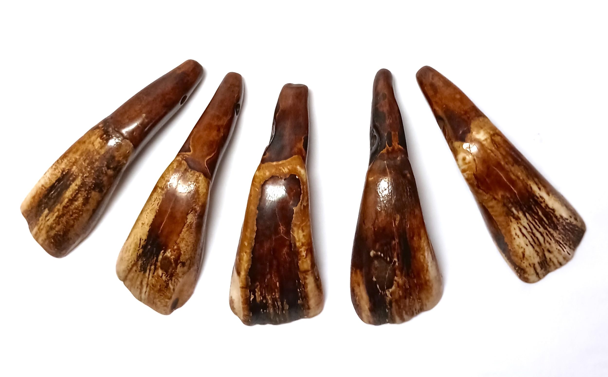 Water Buffalo Teeth, Beads or Pendants, 5 Piece Set, Antiqued, 2.25 Inches, 2.5 mm Beading Holes