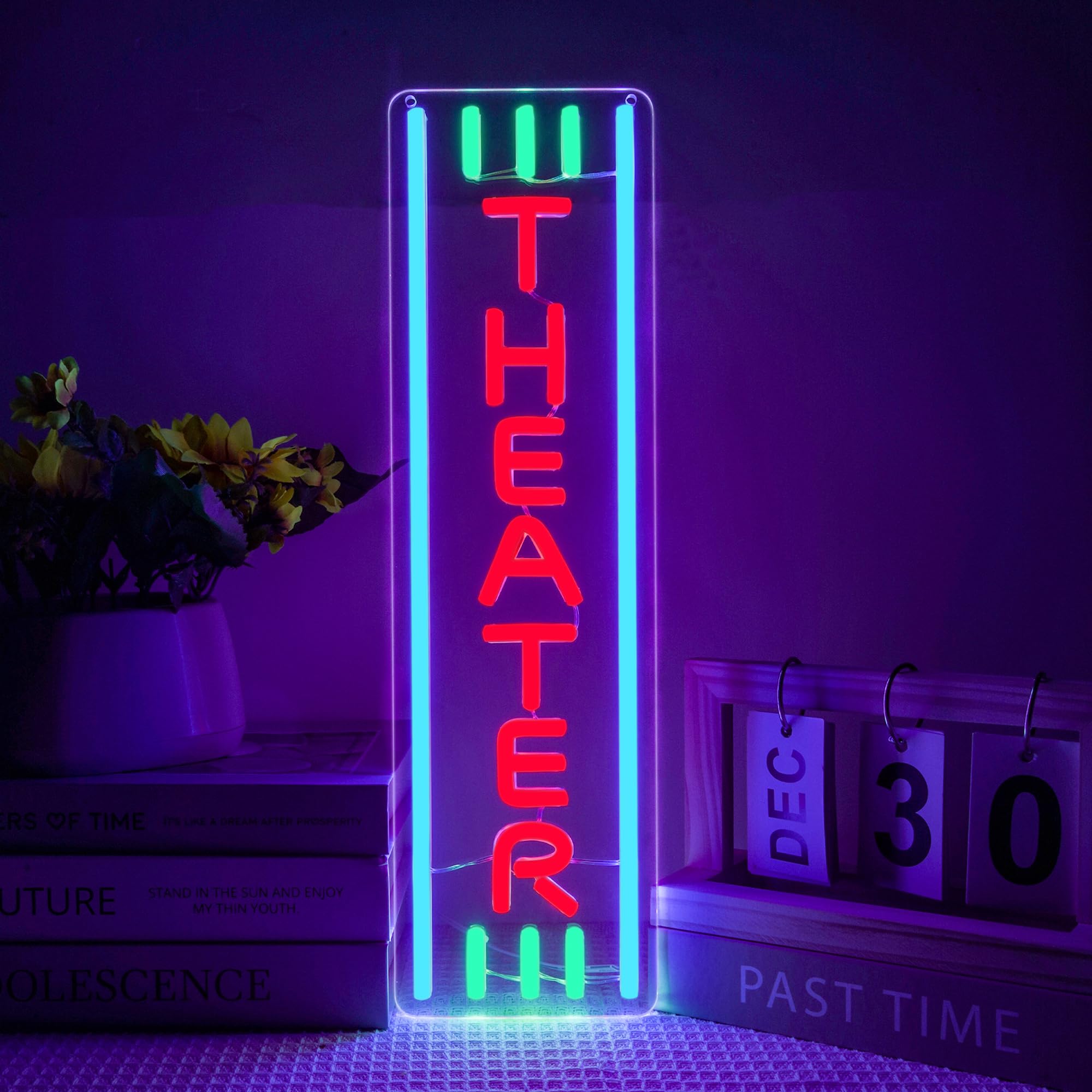 Theater Neon Sign Dimmable LED Movie Night Signs for Wall Decor Home Theater Accessories Sign Theater Room Neon Light for Movie Room Home Bar Decor Classic Cinema Style Light Gifts(16.8 * 4.8in)