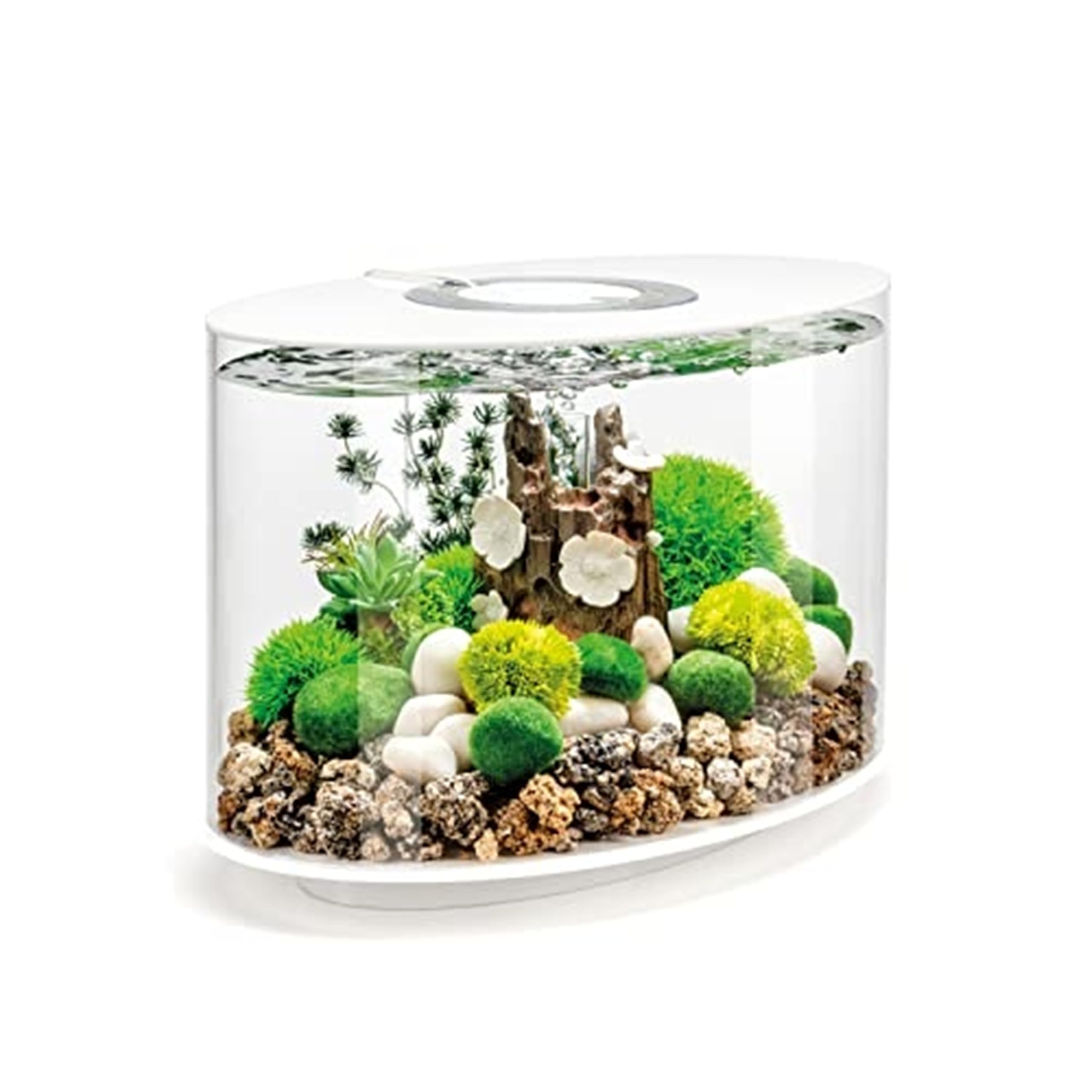 biOrb LOOP 15 Aquarium (White, 15 Litres), Perfect Beginner Fish Tank With Integrated LED Lights, Quick & Easy To Set Up, 360-Degree View Aquarium With 5-Step Filtration System, Acrylic Fish Tank