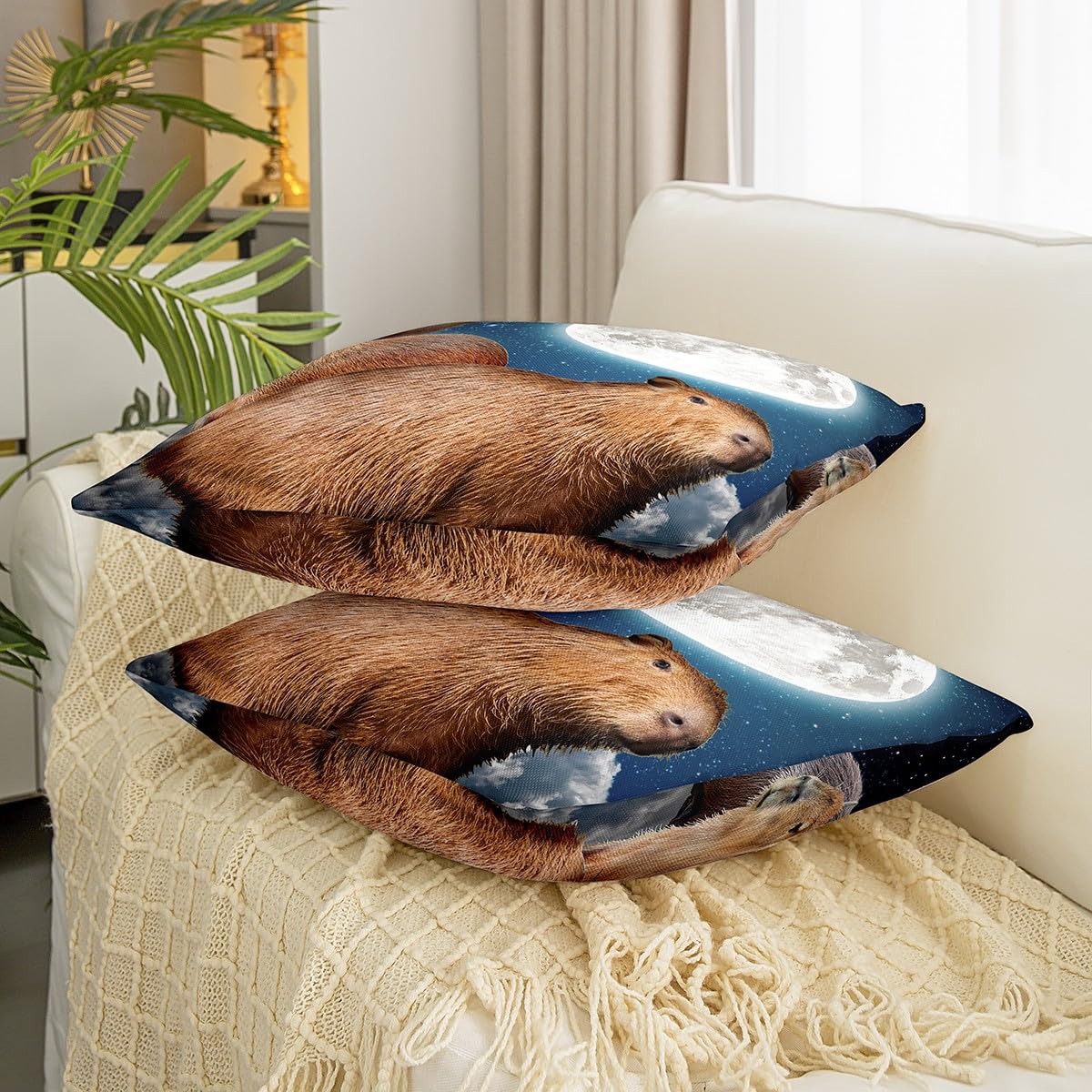 Centro De Baño Dy Capibara Para Pato, 45 X 70 Cm, Se Limpia | Cuotas sin interés