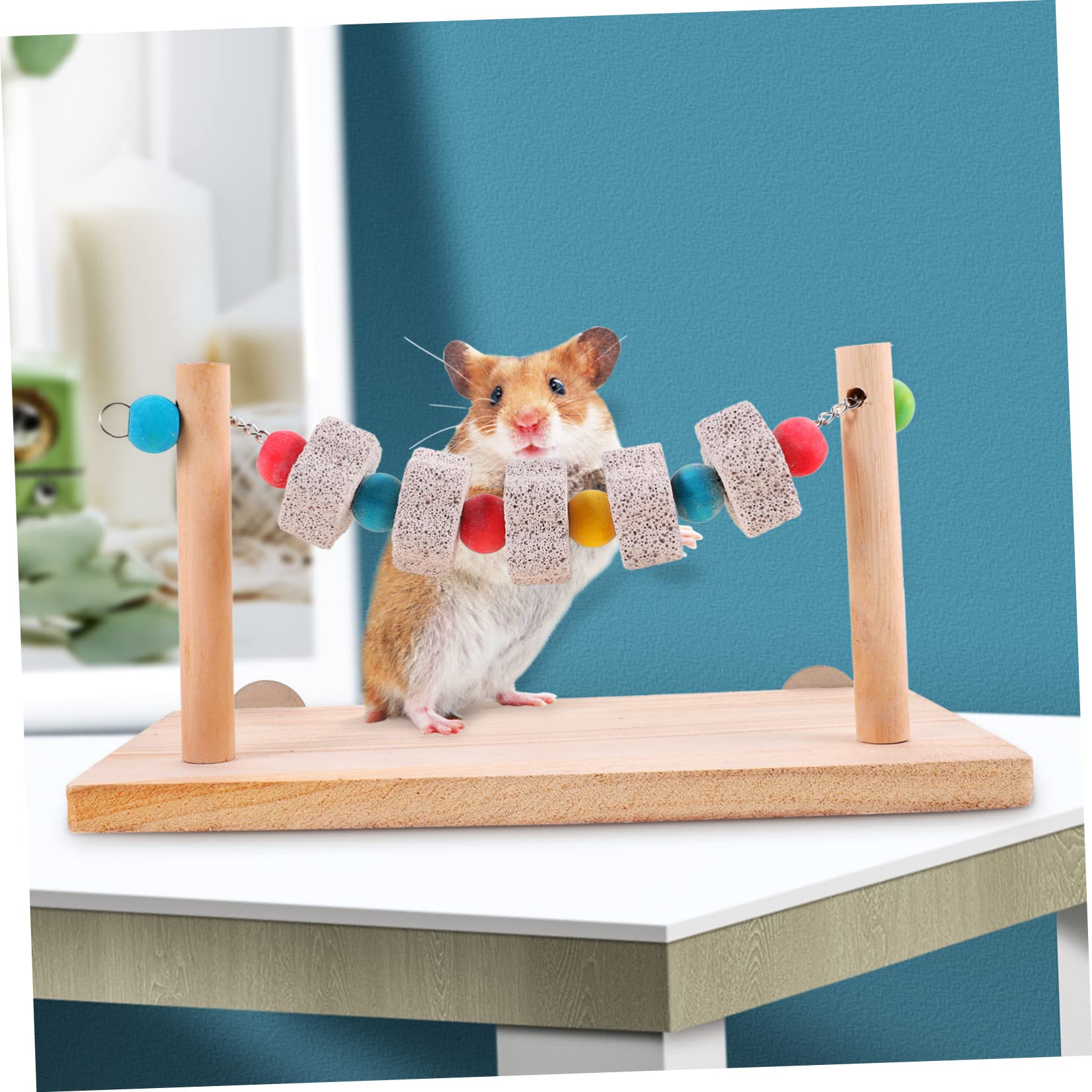 minkissy Lot de 5 Jouets à mâcher pour Oiseaux pour Conures, Jouets de Bureau, perchoirs, Accessoires de Table, perruches, Rats, balançoires, perchoirs, Hamsters, bancs d'entraînement en Bois
