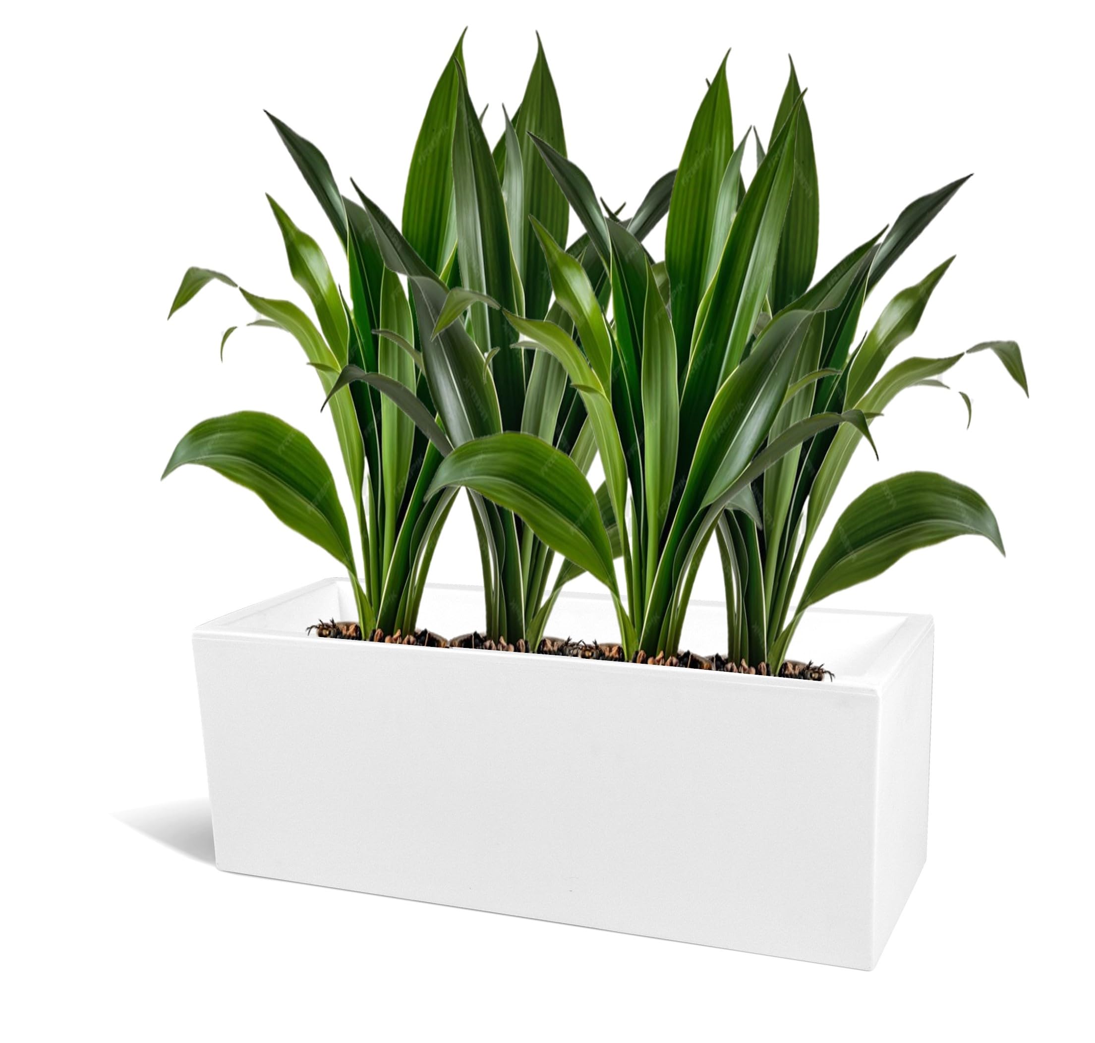 Kloris Blumenkasten, rechteckig, modern, aus Polyethylen, 100 x 30 cm, Hhe  30 cm, Tiefe 17 cm, wei, hohe Qualitt, hergestellt in Italien :  Amazon.de: Kche, Haushalt & Wohnen