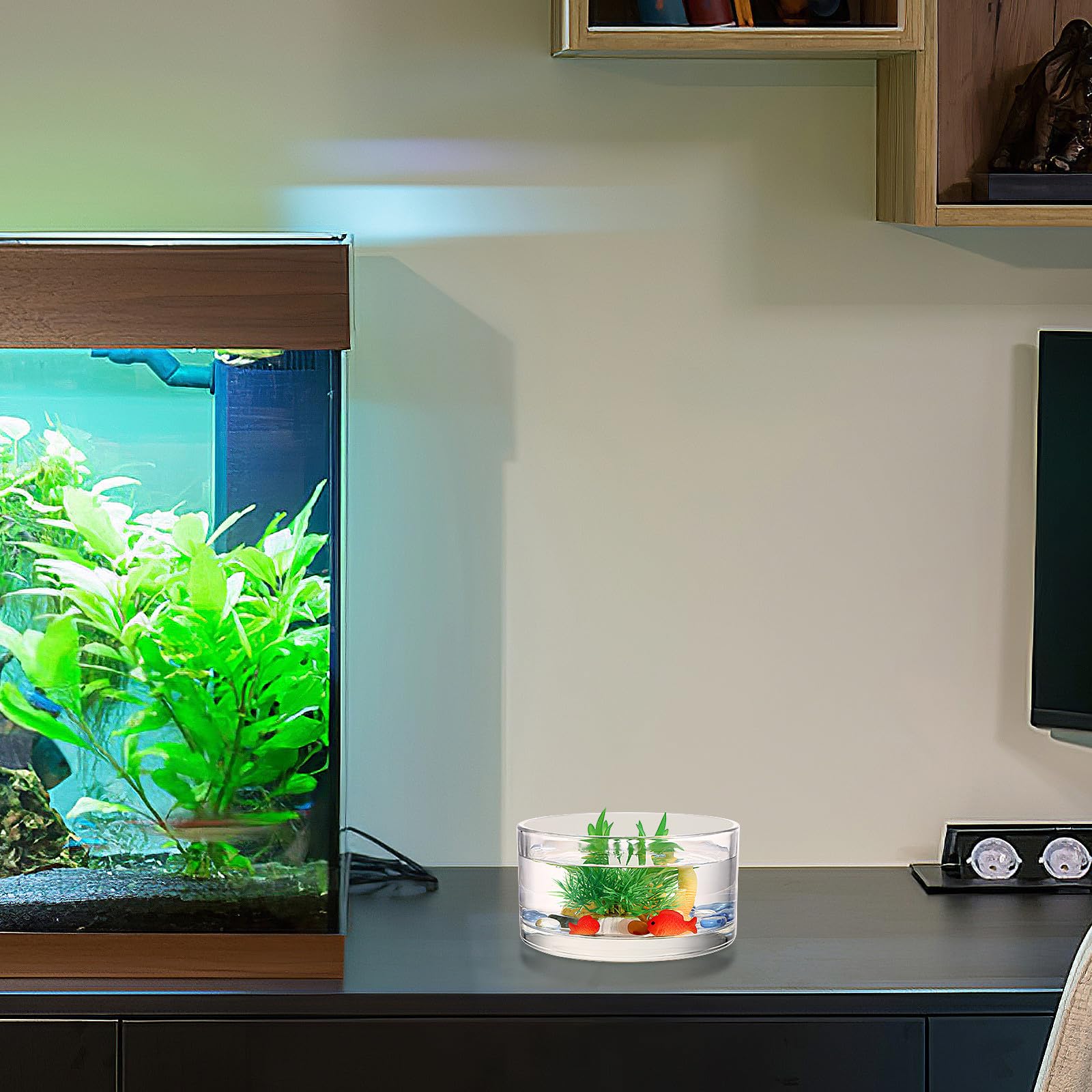 GALPADA Terrario Redondo de Vidrio Transparente para Plantas y Flores, Macetero Hidropónico Delicado y Resistente, Adecuado para Decorar el Hogar o Regalar