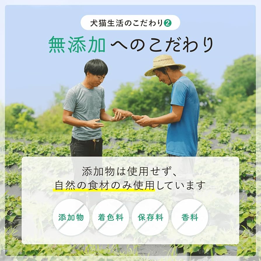 犬猫生活 ドッグフード　3袋まとめて　3袋+残りあり KABU＆プラス寄付専用】【定期支援】犬猫生活 ドッグフード