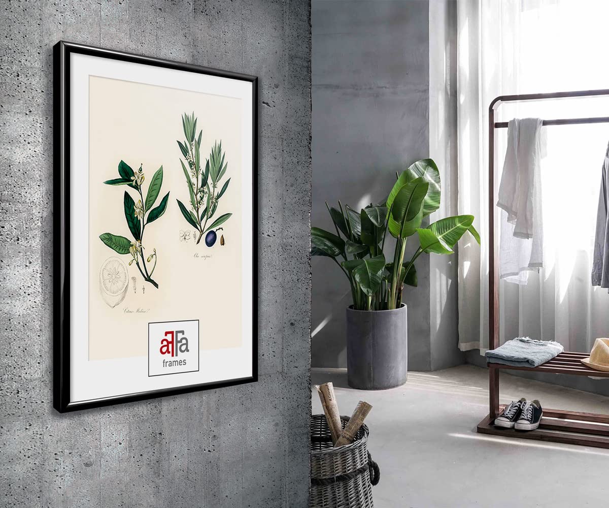 aFFa frames Plast Picture Frame Elegante Stijlvolle Classic Design Geschikt voor foto's Posters Diploma's Graad Certificaten 50x70 cm Kleur Goud