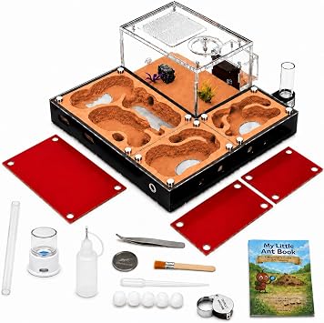 Ecological Ant Nest - Modular Ant Farm with Magnetic Glass Covers, Humidity Control, Ventilation, and Expansion Ports - Perfect for Ant Enthusiasts 10.63 x 9.84 x 5.12 inches